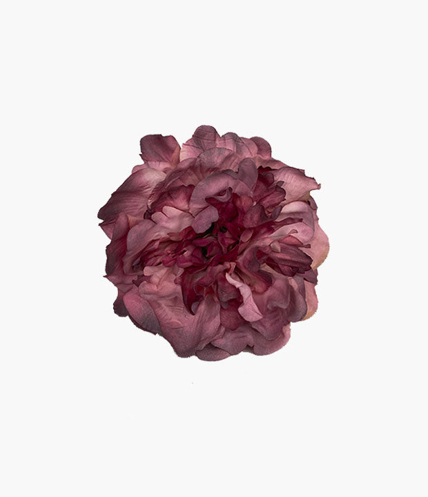 Peonia Teñida